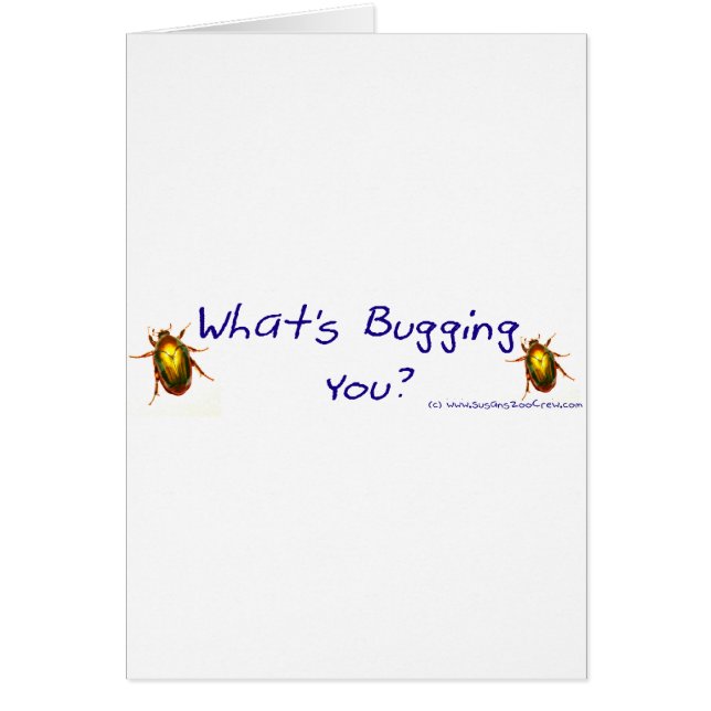 WhatsBuggingYouBumperSticker (Front)