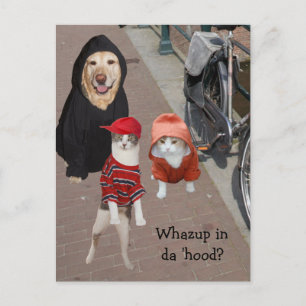 Whazup in da 'hood? postcard