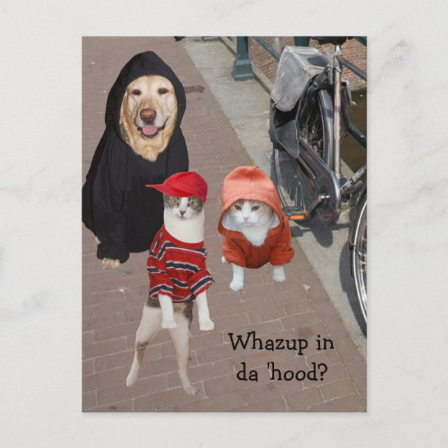 Whazup in da 'hood? postcard (Front)