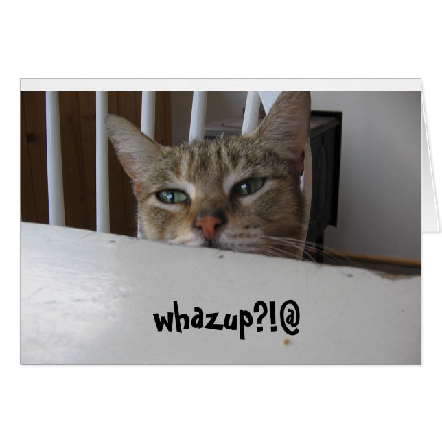 whazup puzzy cat?! (Front Horizontal)