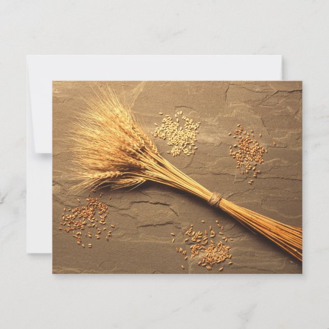 Wheat (Front)