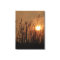 Wheat at Sunset - Vertical