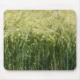 Wheat - beautiful! mouse pad