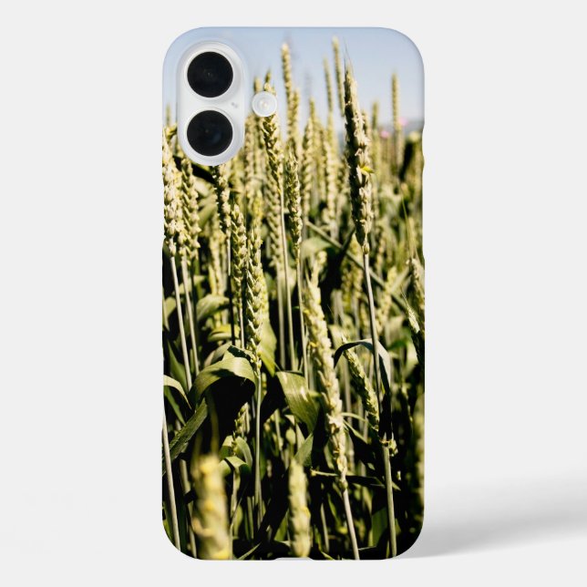 Wheat Case-Mate iPhone Case (Back)