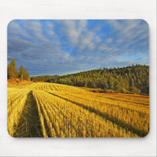 Wheat Field After Harvest Mouse Pad