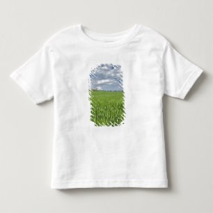 Wheat field and drive lined by stately cypress toddler T-Shirt