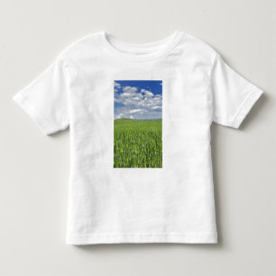 Wheat field and drive lined by stately cypress toddler T-Shirt