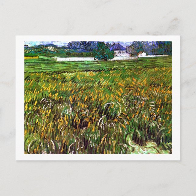 Wheat Field Auvers, White House Van Gogh Fine Art Postcard (Front)