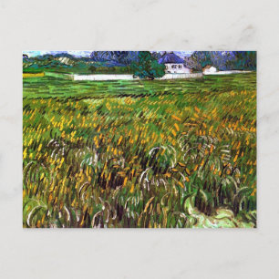 Wheat Field Auvers, White House Van Gogh Fine Art Postcard