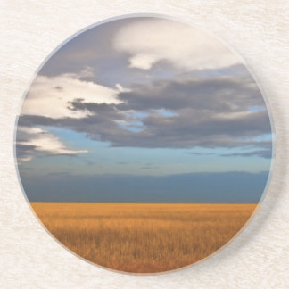 Wheat Field Fine Oil Painting Drink Coaster