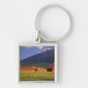 Wheat field in the Wallowa Valley, Just outside Key Ring