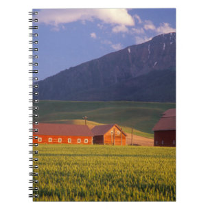 Wheat field in the Wallowa Valley, Just outside Notebook