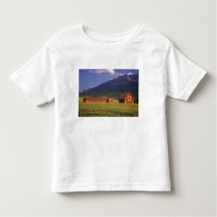 Wheat field in the Wallowa Valley, Just outside Toddler T-Shirt