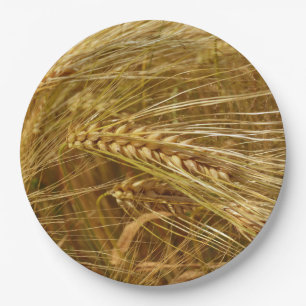  Wheat field. It’s Harvest Time!   Paper Plate