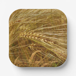  Wheat field. It’s Harvest Time!  Paper Plate