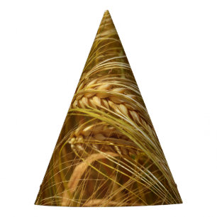  Wheat field. It’s Harvest Time!  Party Hat