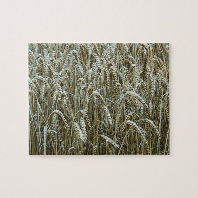 Wheat Field Jigsaw Puzzle (Horizontal)