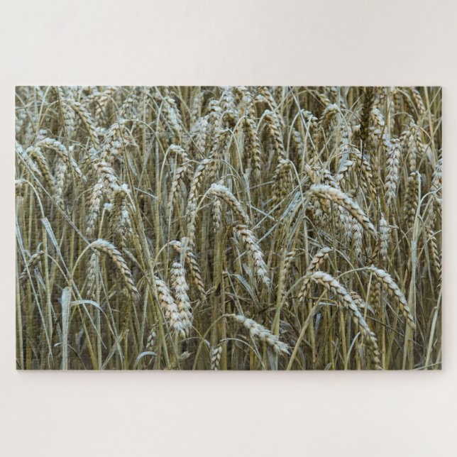 Wheat Field Jigsaw Puzzle (Horizontal)