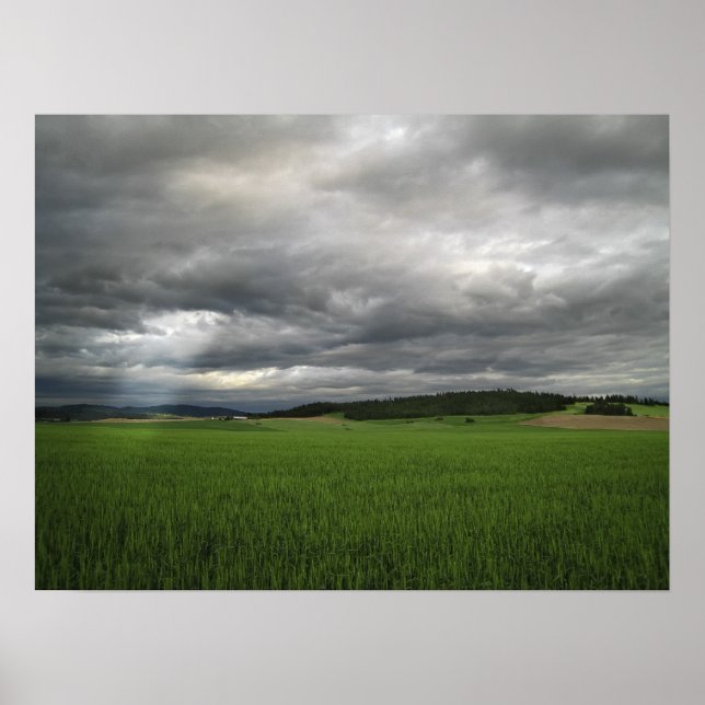 WHEAT FIELD STORM POSTER (Front)