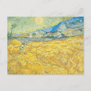 Wheat Field   Vincent van Gogh Postcard
