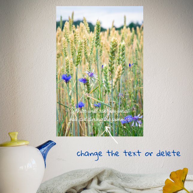 Wheat field with blue cornflowers poster (Creator Uploaded)