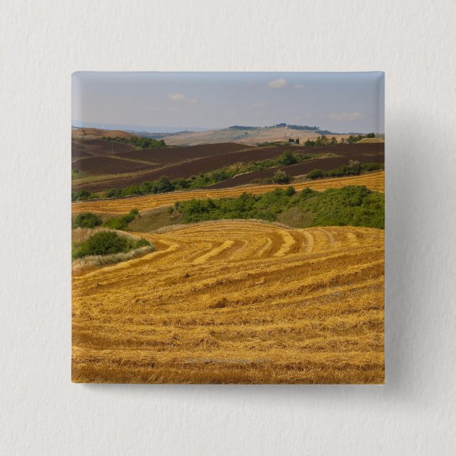 Wheat fields after harvest 15 cm square badge (Front)
