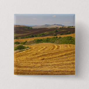 Wheat fields after harvest 15 cm square badge