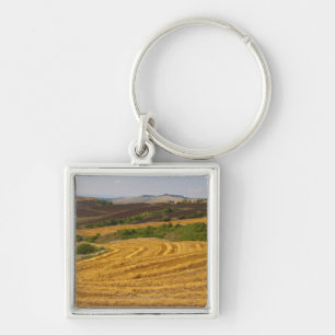 Wheat fields after harvest key ring