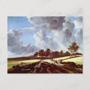 Wheat Fields By Ruisdael Jacob Isaaksz. Van Postcard