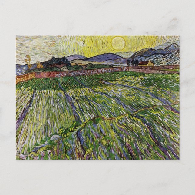 Wheat Fields by Van Gogh Postcard (Front)