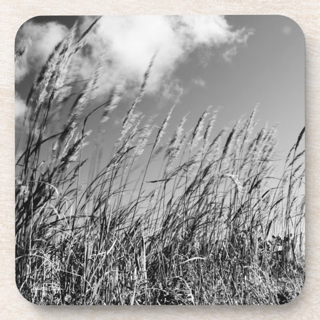 wheat fields coaster (Front)