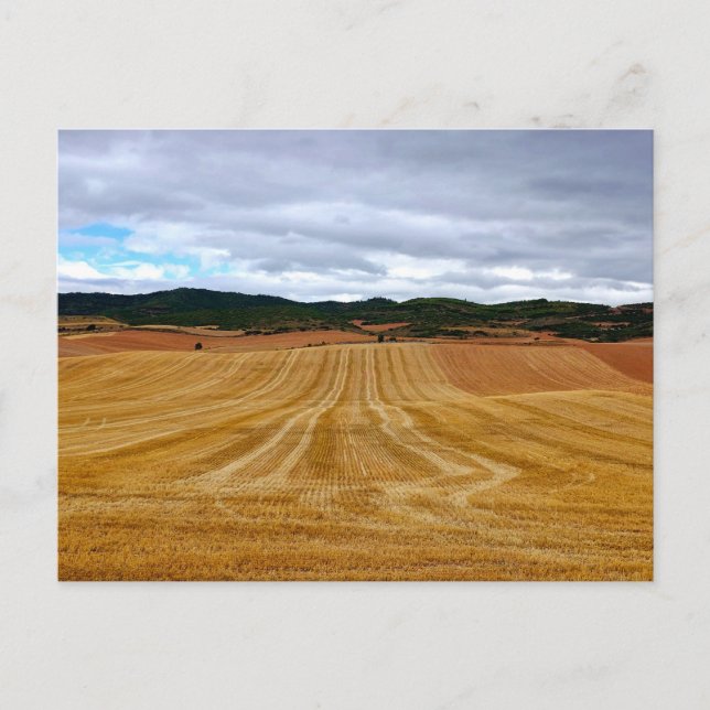 Wheat fields postcard (Front)