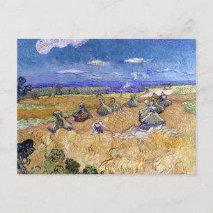 Wheat Fields with Reaper Vincent van Gogh Postcard