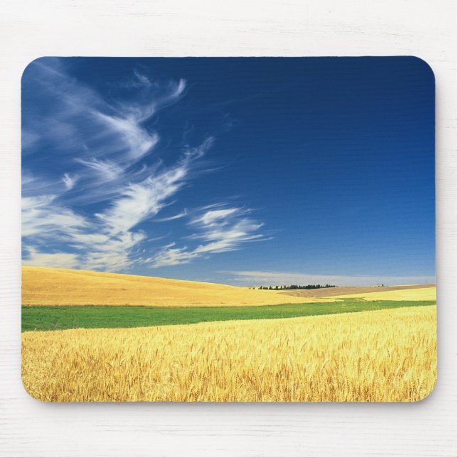 Wheat harvest on the Palouse in Eastern Mouse Pad (Front)