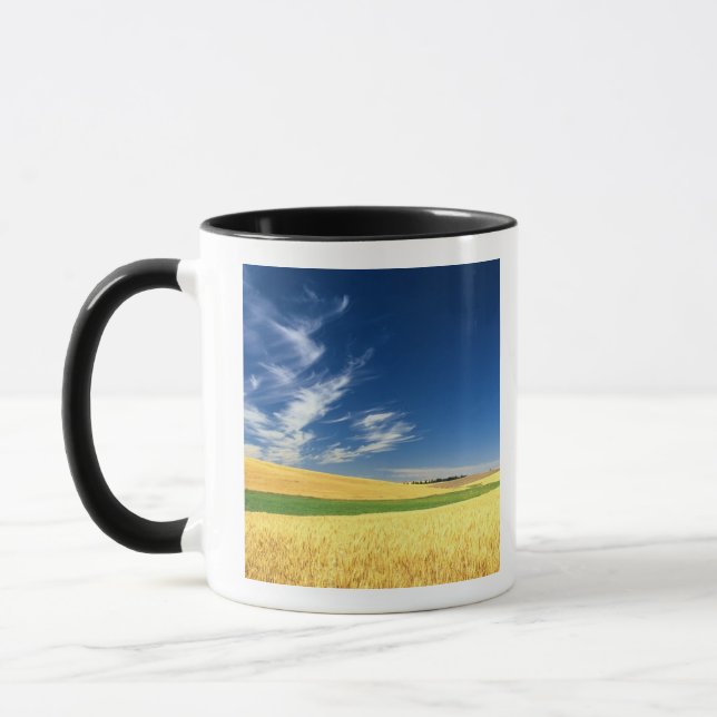 Wheat harvest on the Palouse in Eastern Mug (Left)