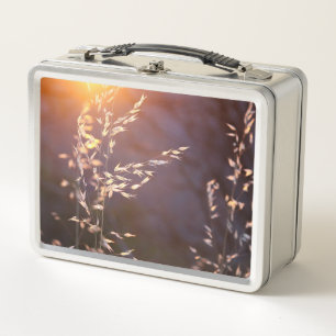 wheat in morning metal lunch box