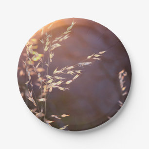 wheat in morning paper plate