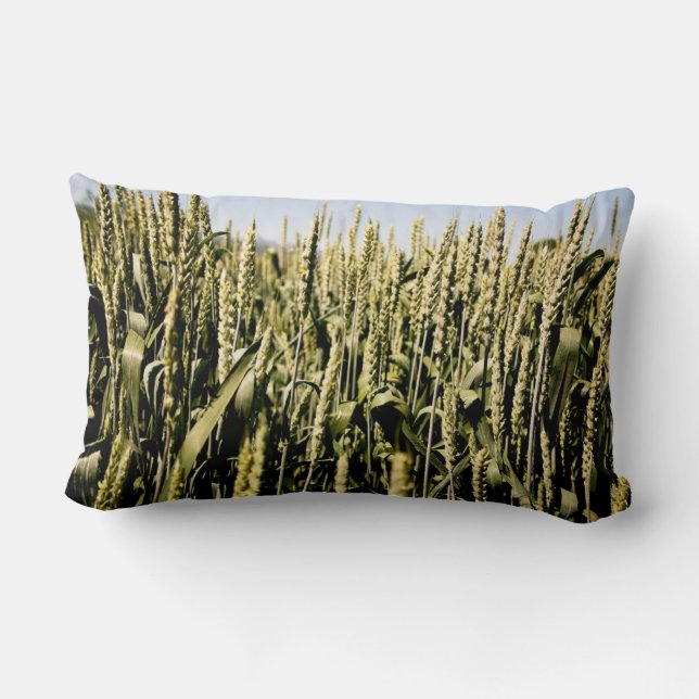 Wheat Lumbar Cushion (Back)