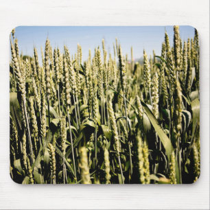 Wheat Mouse Pad