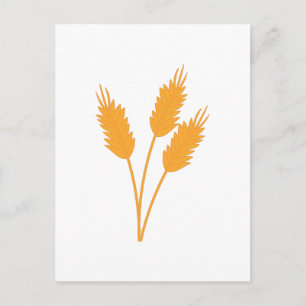 Wheat Stalk Postcard