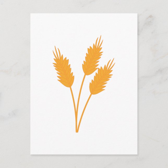 Wheat Stalk Postcard (Front)