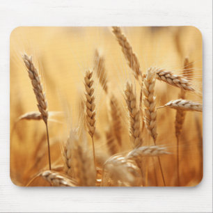 Wheat Sunset Tranquil Peaceful Nature Mouse Pad
