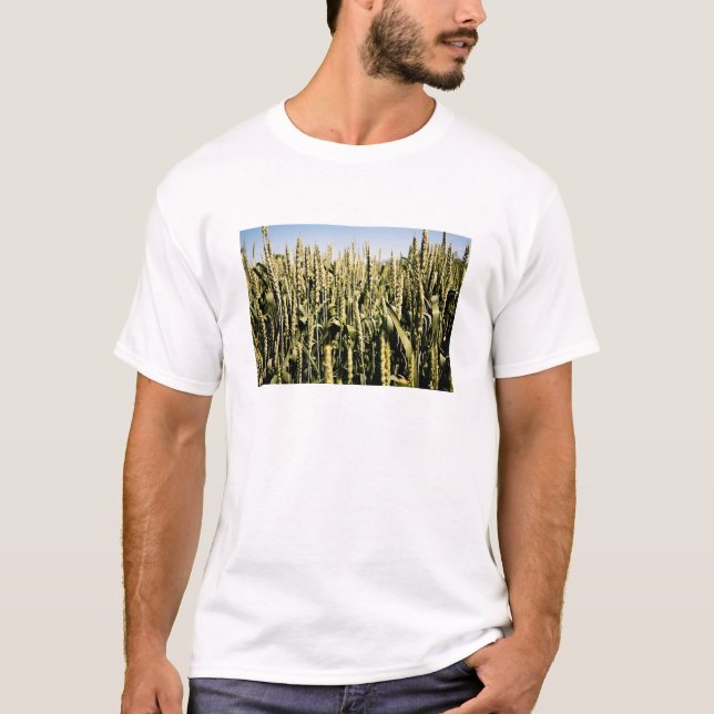 Wheat T-Shirt (Front)