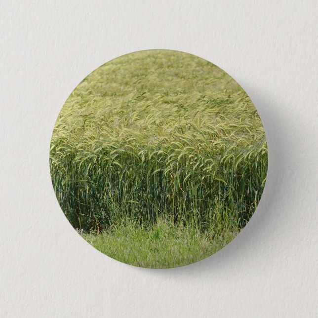 Wheat - Tasty! 6 Cm Round Badge (Front)