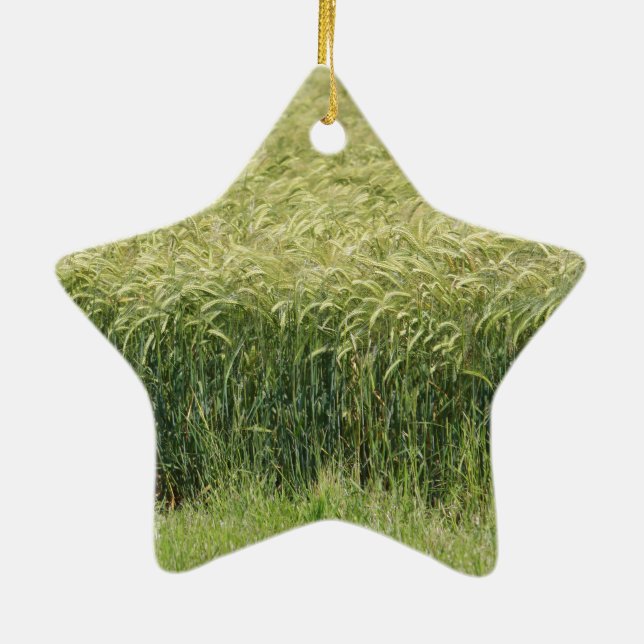 Wheat - Tasty! Ceramic Tree Decoration (Back)