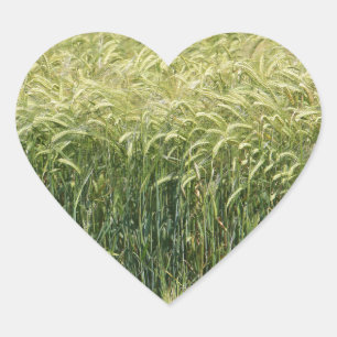 Wheat - Tasty! Heart Sticker