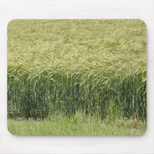 Wheat - Tasty! Mouse Pad (Front)