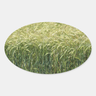 Wheat - Tasty! Oval Sticker