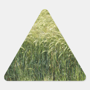 Wheat - Tasty! Triangle Sticker