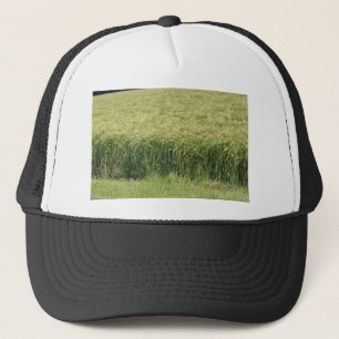 Wheat - Tasty! Trucker Hat